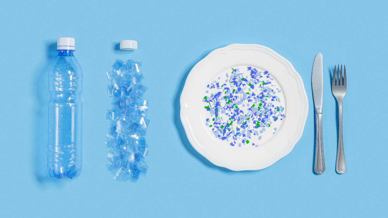 What are Microplastics?