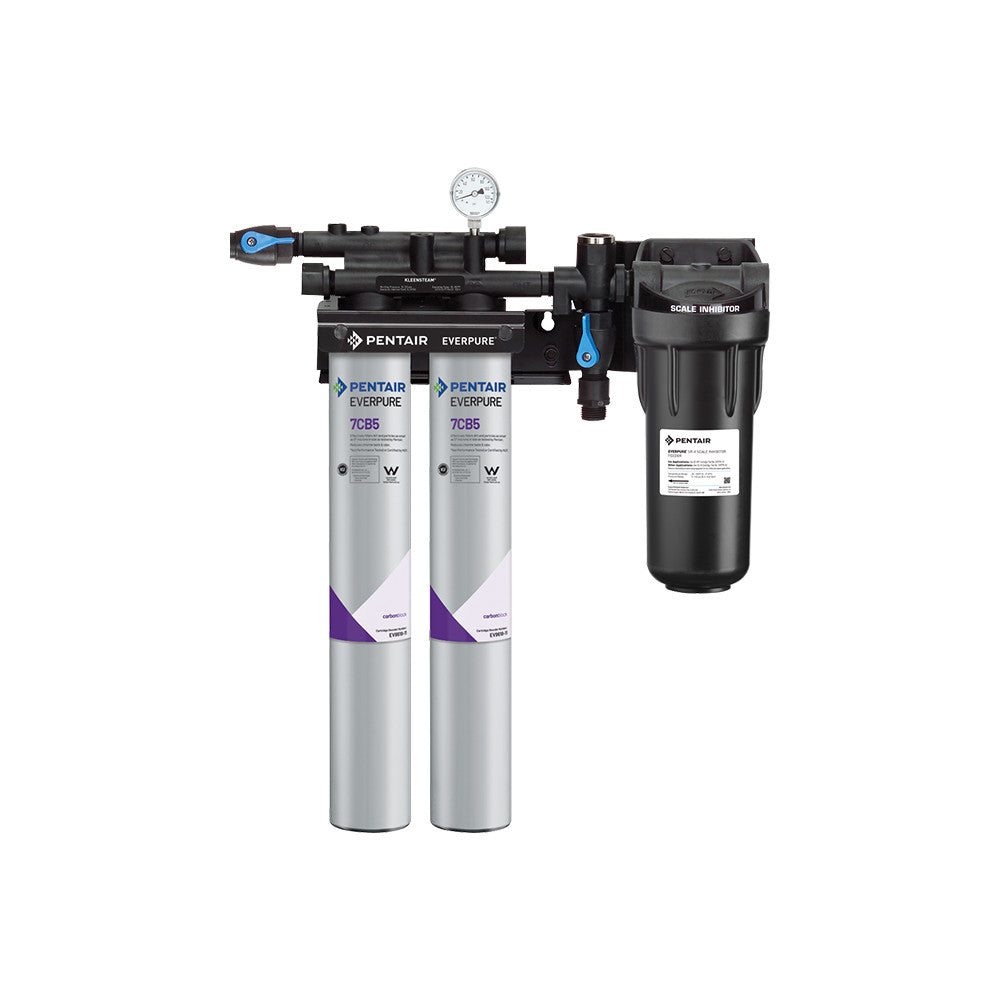 Everpure Kleensteam II Twin Water Filter System EV979722