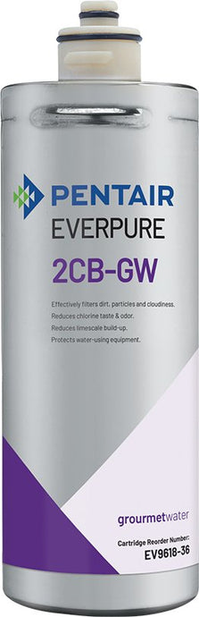 Everpure 2CBGW Cartridge EV961836 - Efilters.ca