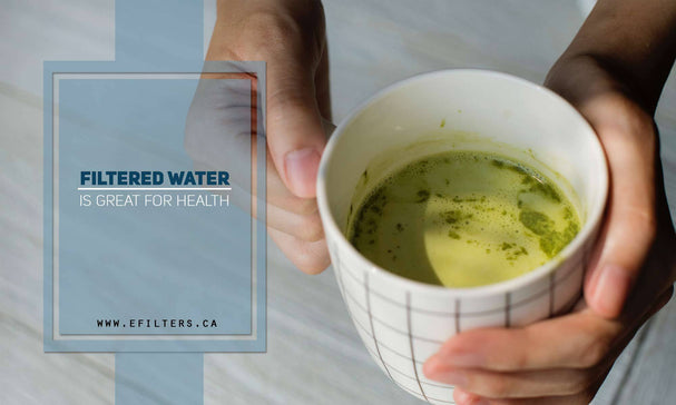 About Everpure Quantum 4000 Water Filters - Efilters.ca