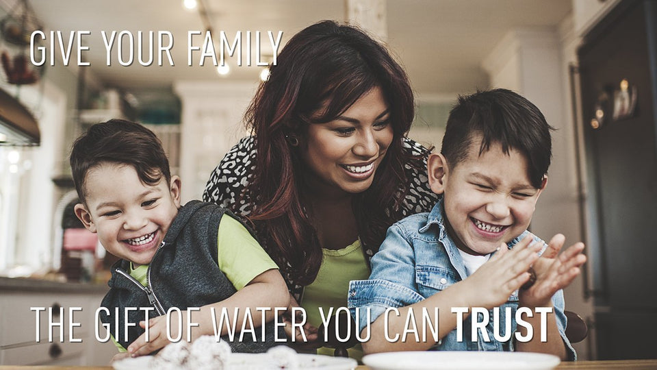 Which Everpure water filter is right for your home? - Efilters.ca