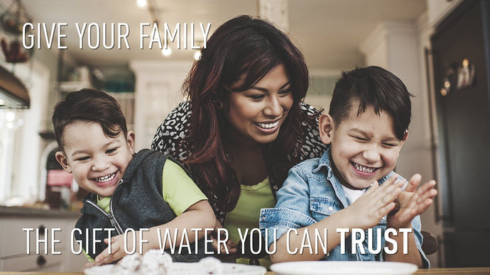 Which Everpure water filter is right for your home?