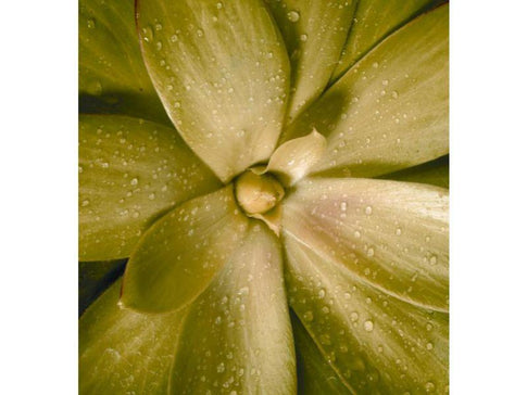 How to Reduce Your Water Footprint - Efilters.ca