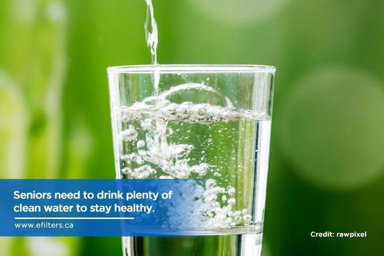 How Unfiltered Water Can Affect Our Health - Efilters.ca