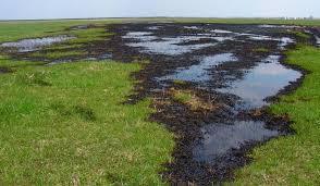 Trouble in the Water - Efilters.ca