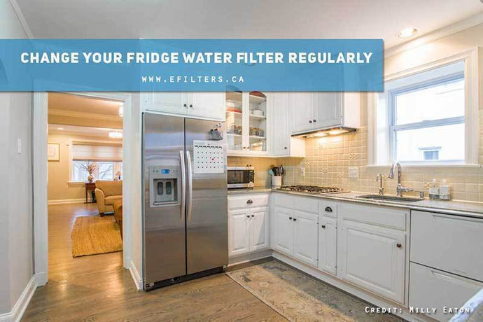 When Should I Replace My Refrigerator Water Filter?