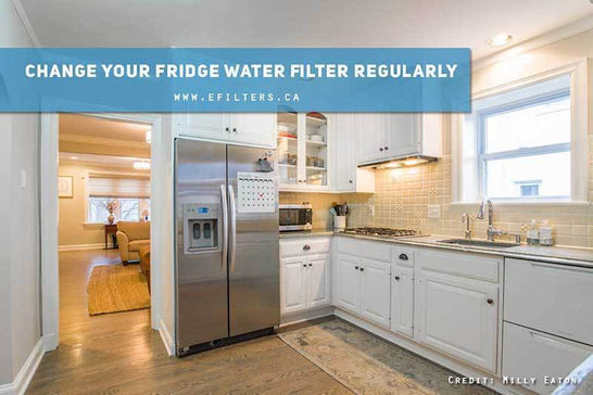When Should I Replace My Refrigerator Water Filter? - Efilters.ca