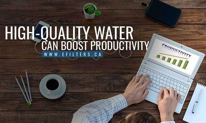 Why Should I Get a Water Filter for my Business or Practice?