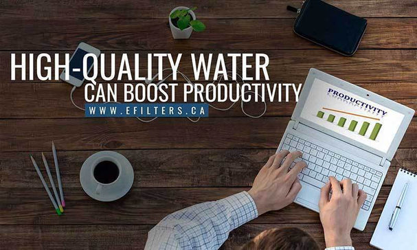 Why Should I Get a Water Filter for my Business or Practice? - Efilters.ca