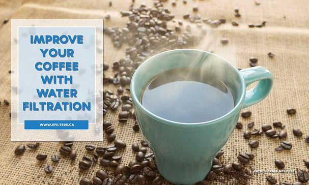 Why Water Filtration Matters for your Coffee - Efilters.ca
