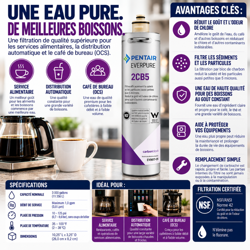 Everpure 2CB5 Water Filter Cartridge EV961705