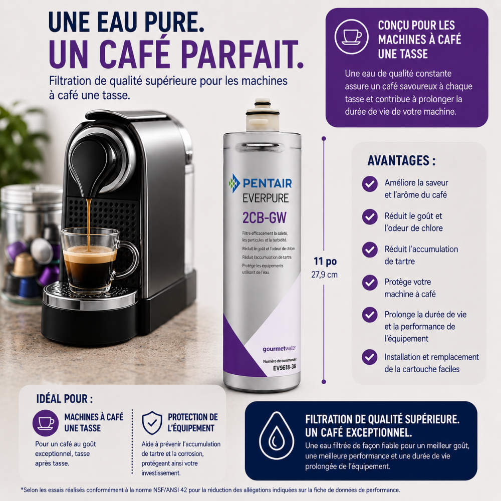 Promotional infographic for a Pentair Everpure 2CB-GW water filter canister, showing a coffee machine with espresso on the left and the white and purple filter canister in the center, with French text detailing benefits and usage on a light gray background.