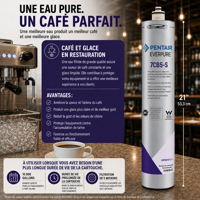 Pentair Everpure 7CBS-S carbonated water filter canister on a dark bar counter with a coffee machine, cup, and promotional text in French.