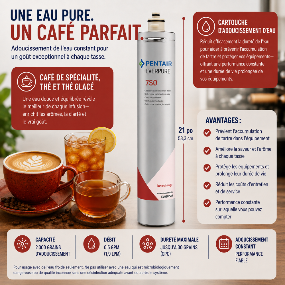 A promotional infographic for Pentair Everpure 750 water filter cartridges. The center features a single white canister with a blue and red label, flanked by French text blocks detailing benefits, specifications, and usage.