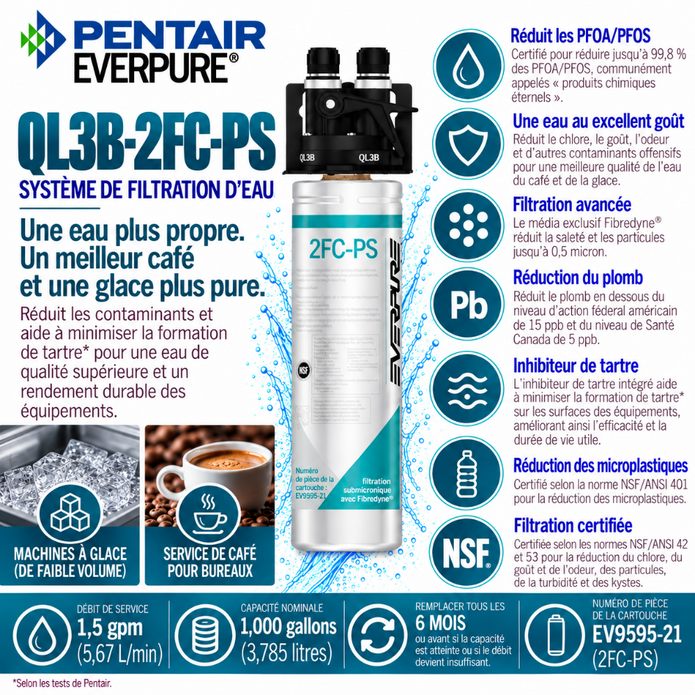 Everpure QL3B-2FCPS Water Filtration System EV929810 (Forever Chemicals), Everpure QL3B-2FCPS System EV929810 | Forever Chemicals | Efilters ,Water Filter System