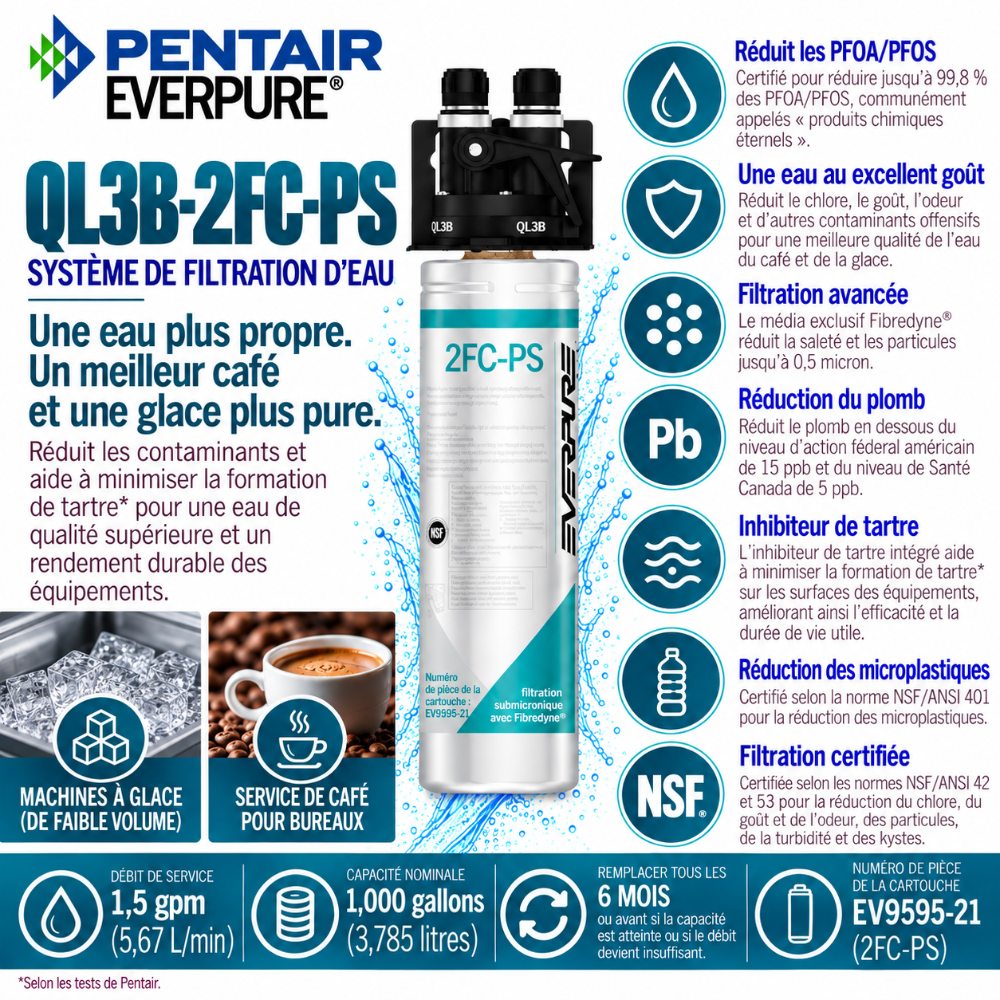 Everpure QL3B-2FCPS Water Filtration System EV929810 (Forever Chemicals), Everpure QL3B-2FCPS System EV929810 | Forever Chemicals | Efilters ,Water Filter System