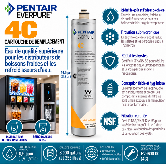 Everpure 4C Water Filter Cartridge EV960100