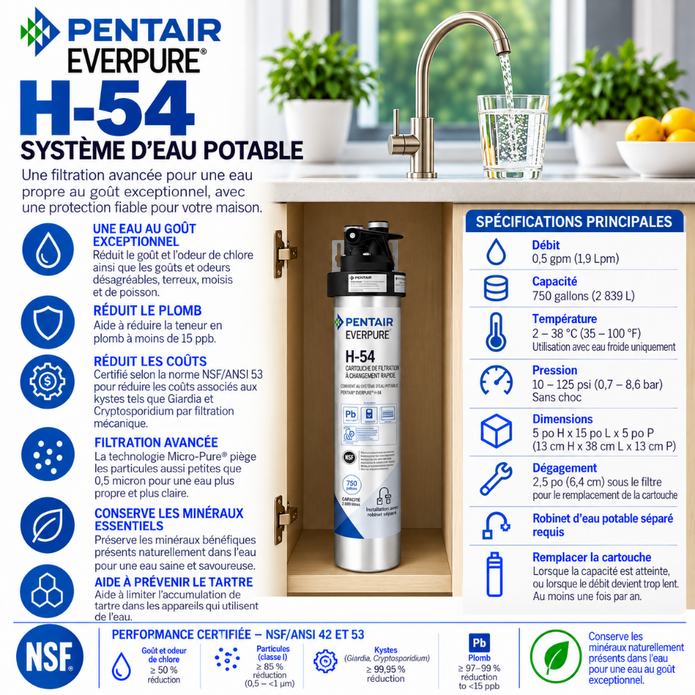 Everpure H54 Drinking Water Filtration System EV925267
