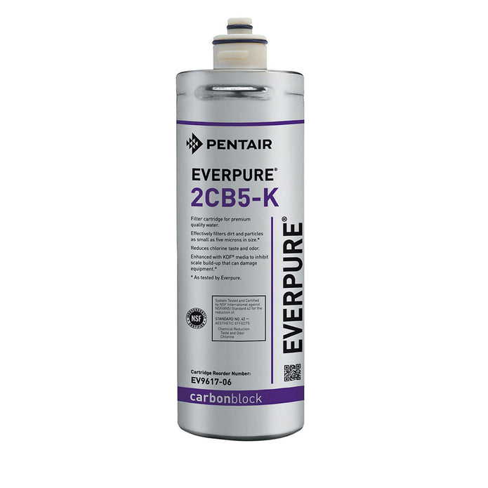 Everpure 2CB5K Cartridge EV961706