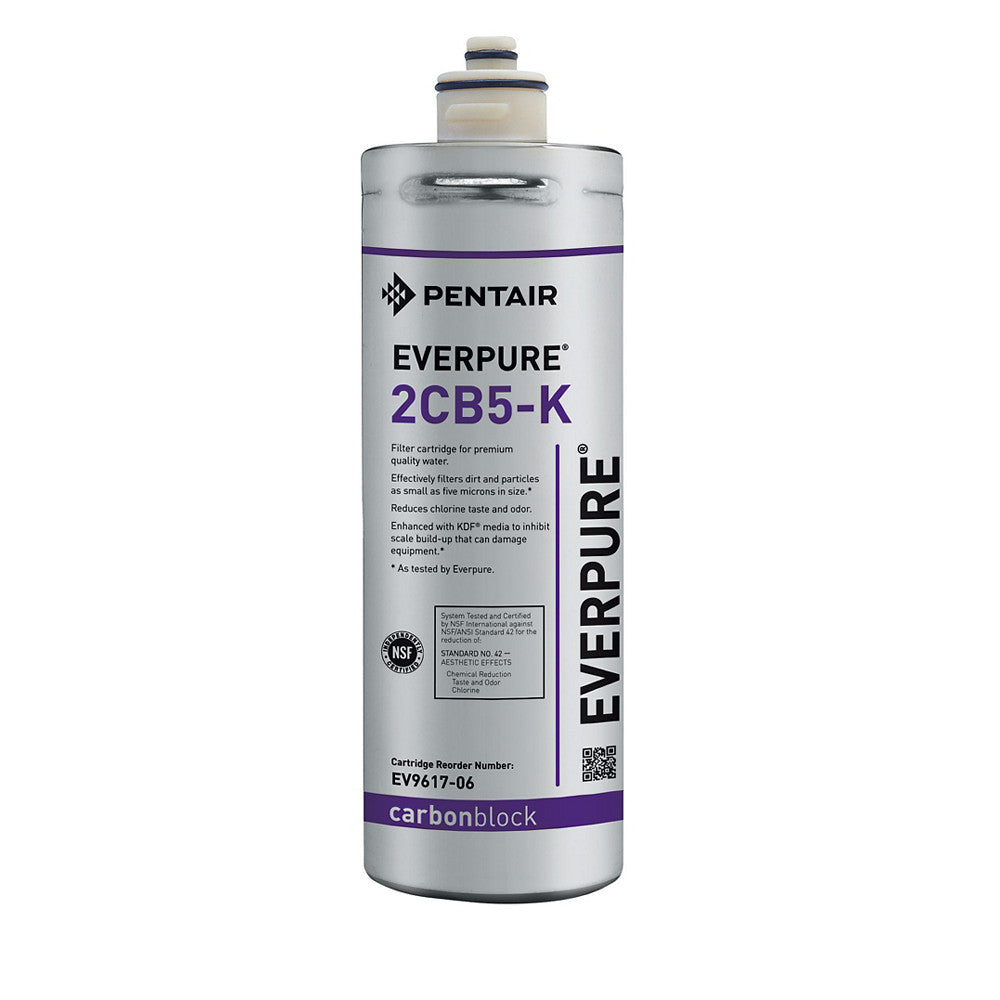 Everpure 2CB5K Cartridge EV961706