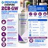 Everpure 2CBGW Water Filter Cartridge EV961836