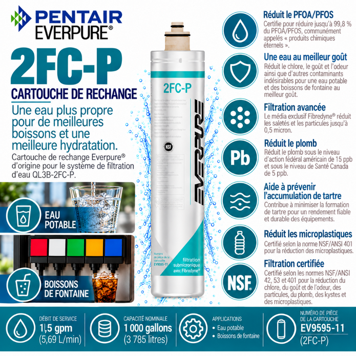 Everpure 2FCP Water Filter Cartridge EV959511 (Forever Chemicals)