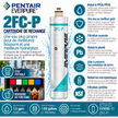 Everpure 2FCP Water Filter Cartridge EV959511 (Forever Chemicals)