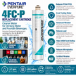 Everpure 4FCP Water Filter Cartridge EV959531 (Forever Chemicals)