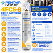 Everpure 4FC5S Water Filter Cartridge EV969331