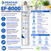 Everpure EF6000 Full Flow Water Filter Cartridge EV985556