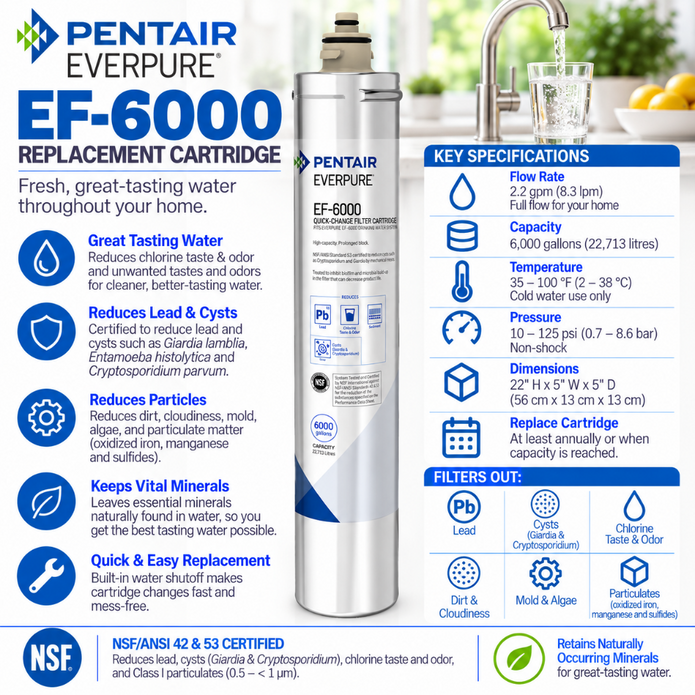 Everpure EF6000 Full Flow Water Filter Cartridge EV985556
