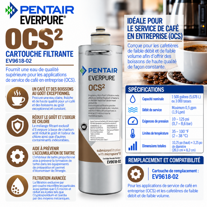 Everpure OCS(2) Water Filter Cartridge for Office Coffee EV961802