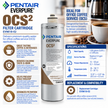 Everpure OCS(2) Water Filter Cartridge for Office Coffee EV961802