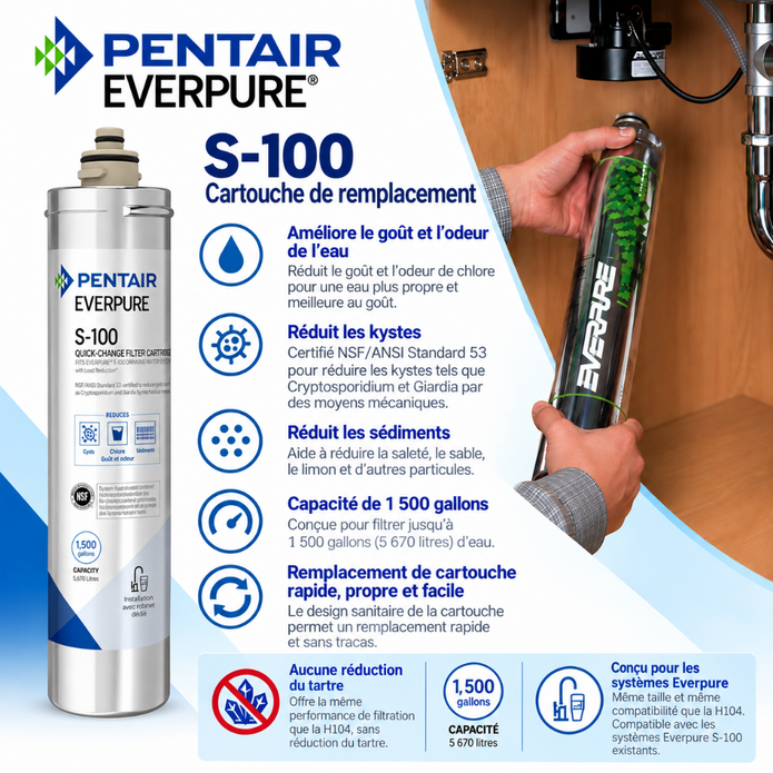 Pentair Everpure S-100 replacement filter cartridge shown in a product infographic with a canister on the left, a hand holding the green-and-white filter cartridge on the right, and multiple French benefit callouts over a wood-tap background.