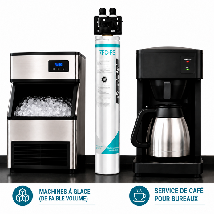 Everpure QL3B-7FCPS Water Filter System EV929850 (Forever Chemicals), Everpure QL3B-7FCPS System EV929850 | Forever Chemicals | Efilters ,Water Filter System