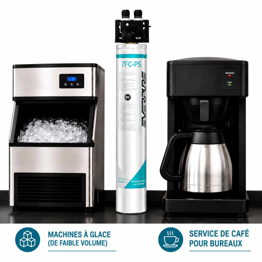 Everpure QL3B-7FCPS Water Filter System EV929850 (Forever Chemicals), Everpure QL3B-7FCPS System EV929850 | Forever Chemicals | Efilters ,Water Filter System