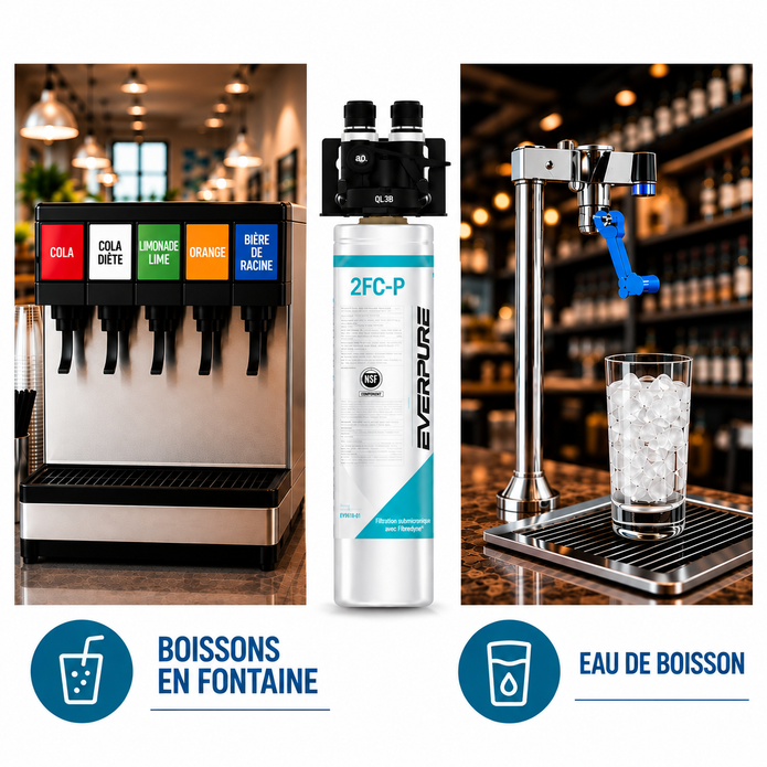 Everpure QL3B-2FCP Water Filtration System EV929800 (Forever Chemicals)