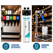 Everpure QL3B-2FCP Water Filtration System EV929800 (Forever Chemicals)