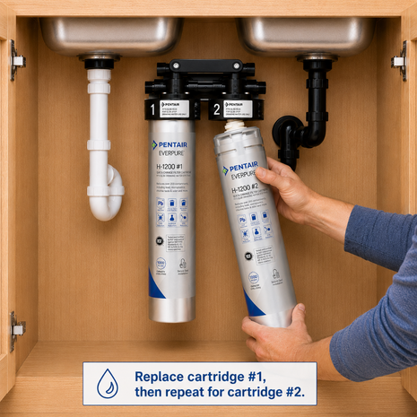 Everpure H1200 Water Filter Cartridge Set EV928201, Everpure H1200 Water Filters | Forever Chemicals | Efilters.ca,Water Filter Cartridge