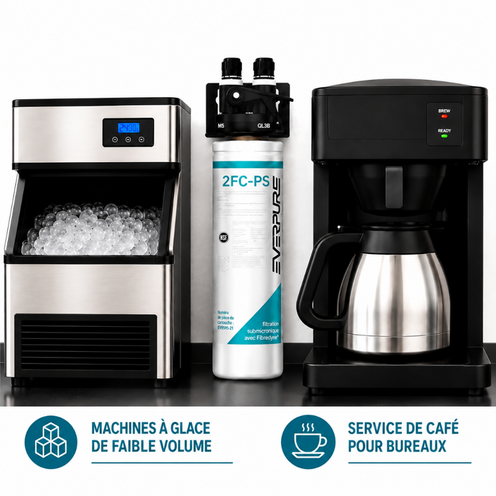 Everpure QL3B-2FCPS Water Filtration System EV929810 (Forever Chemicals), Everpure QL3B-2FCPS System EV929810 | Forever Chemicals | Efilters ,Water Filter System