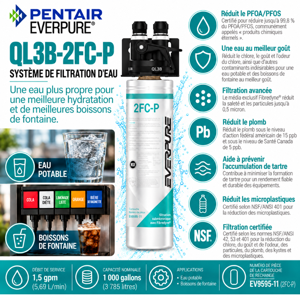 Everpure QL3B-2FCP Water Filtration System EV929800 (Forever Chemicals)