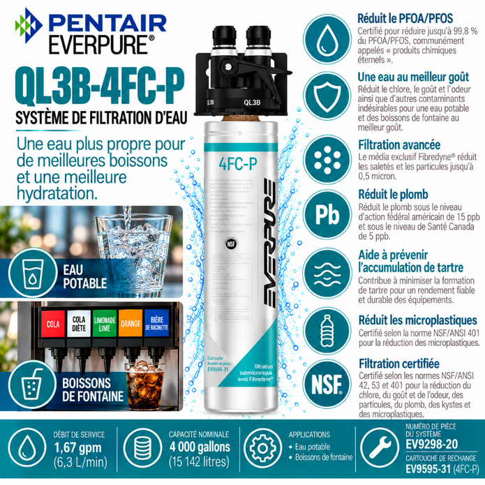 Everpure QL3B-4FCP Water Filtration System EV929820 (Forever Chemicals)