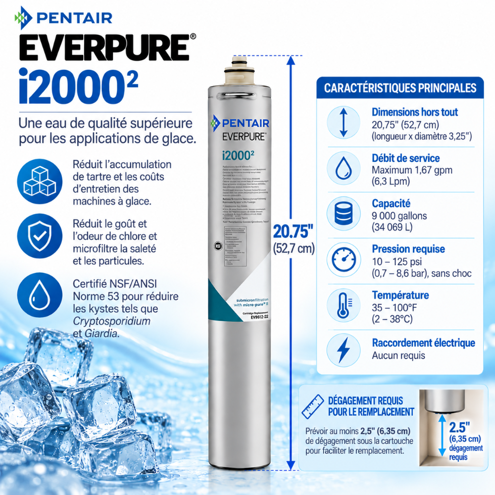 Everpure i2000(2) Water Filter Cartridge for Ice EV961222