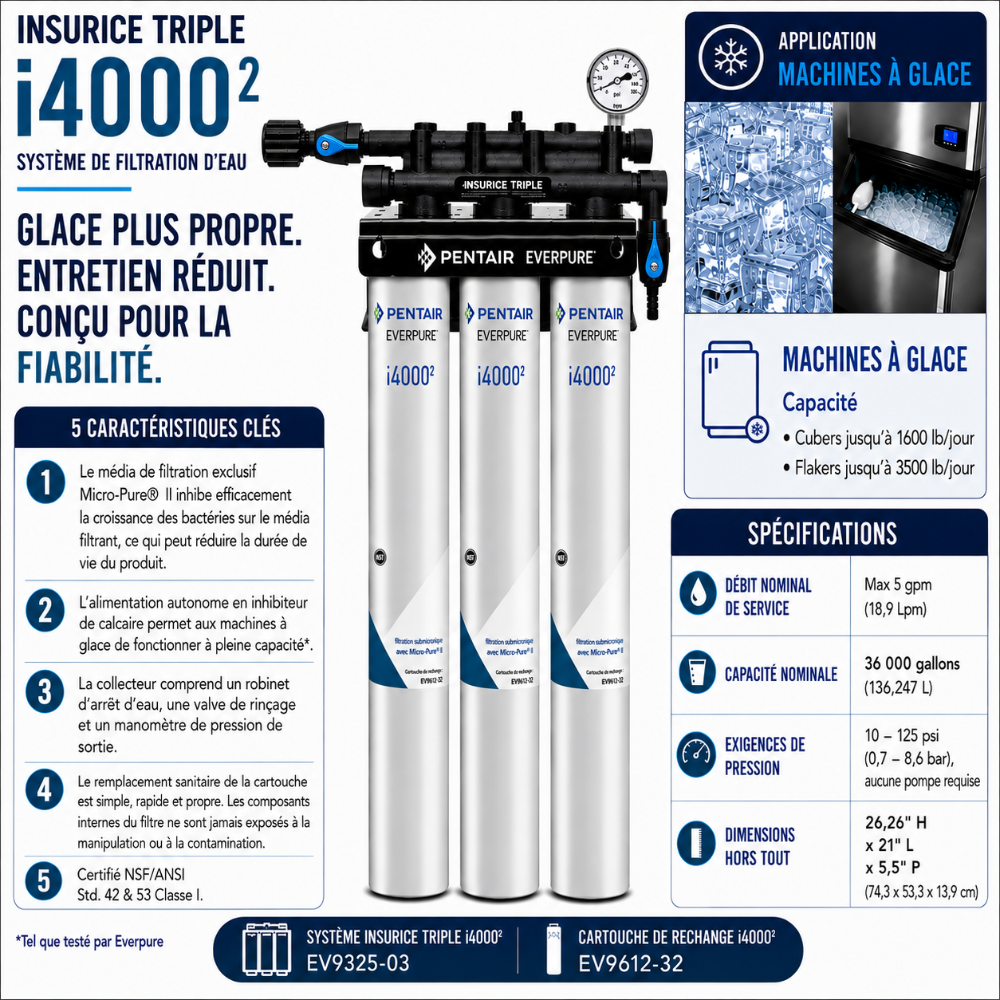 Everpure Insurice Triple 4000(2) Water Filter System for Ice EV932503, Everpure Insurice Triple 4000 Water Filter | Efilters | Free freight!,Water Filter System
