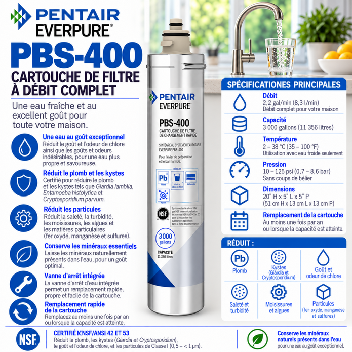 Everpure PBS400 'Full Flow' Water Filter Cartridge EV927086