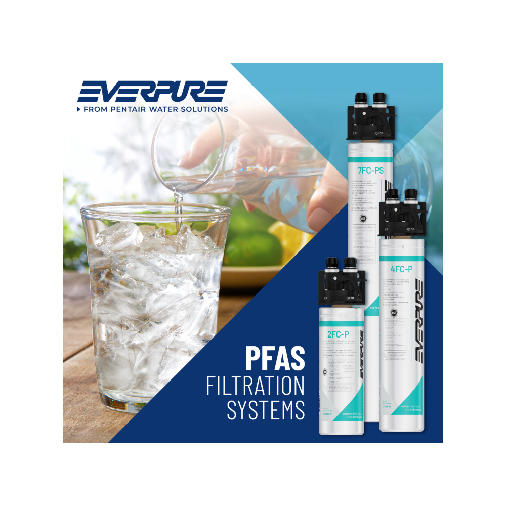 Everpure QL3B-2FCPS Water Filtration System EV929810 (Forever Chemicals), Everpure QL3B-2FCPS System EV929810 | Forever Chemicals | Efilters ,Water Filter System