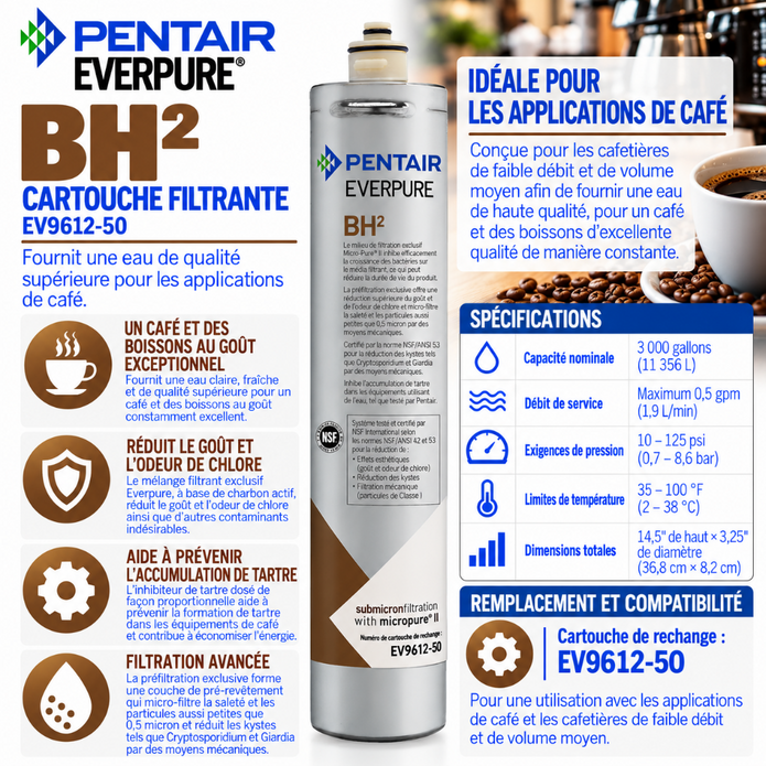 Everpure BH(2) Water Filter Cartridge for Coffee EV961250