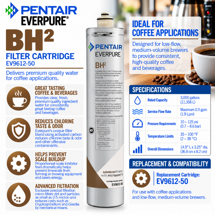 Everpure BH(2) Water Filter Cartridge for Coffee EV961250