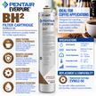 Everpure BH(2) Water Filter Cartridge for Coffee EV961250