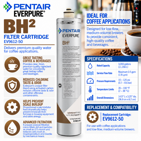 Everpure BH(2) Water Filter Cartridge for Coffee EV961250